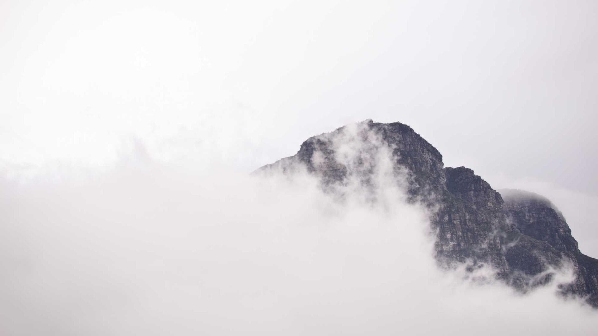 RiteClick Technology Team